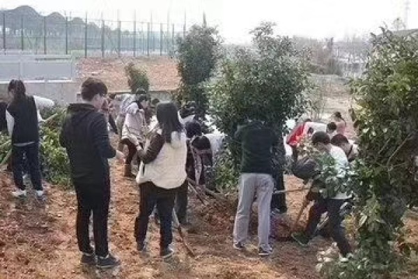 春風又綠江南岸,瑞聯節能種樹忙